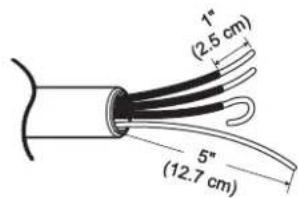 1" (2.5 cm) 5" (12.7 cm)