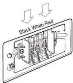 Black White Red