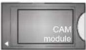 Finlux 40FWA5610 - (\*) OMA PAINIKE: - 31
