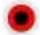 Finlux 40FWA5610 - (\*) OMA PAINIKE: - 18