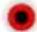 Finlux 24FLKR274SVD - (\*) MIN KNAPP 1 & MIN KNAPP 2: - 19