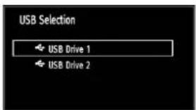 SCHAUB LORENZ 32LT511 - Media Playback Using Media Browser - 2