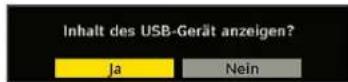 SCHAUB LORENZ 32LT655C - Medienbrowser (im DTV-Modus) - 1