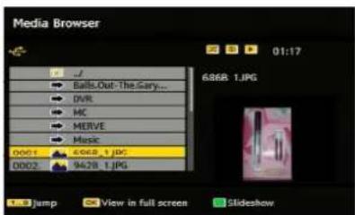 SCHAUB LORENZ 32LT655C - Viewing JPEG Files - 1