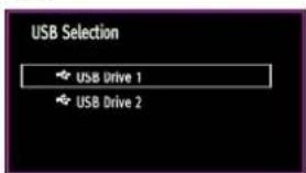SCHAUB LORENZ 32LT555C - Media Playback Using Media Browser - 2