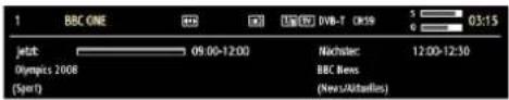 SCHAUB LORENZ 32LT555C - OSD-Informationen - 1