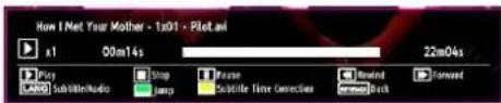 SCHAUB LORENZ 32LT555C - Viewing Videos via USB - 2
