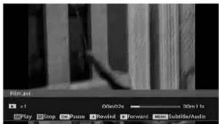 SCHAUB LORENZ 32LT601B - Video Playback - 1