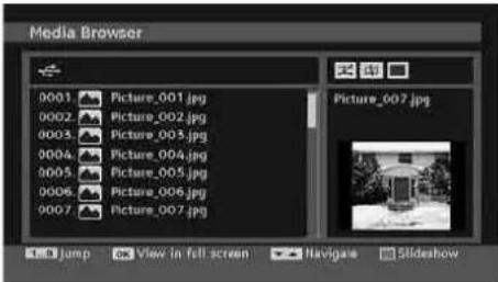 SCHAUB LORENZ 32LT601B - Viewing JPG Files - 1