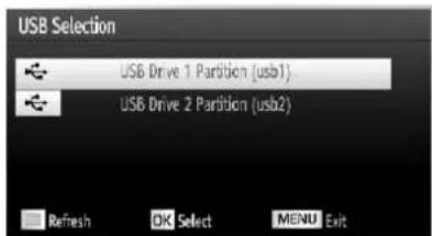 SCHAUB LORENZ 32LT582CT/WE - Media Playback Using Media Browser - 2