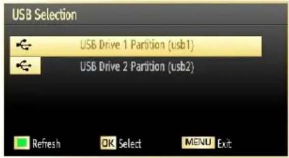 SCHAUB LORENZ 46LE-D6900CT - Media Playback Using Media Browser - 2