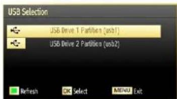 SCHAUB LORENZ 26LE-4800CT - Media Playback Using Media Browser - 2