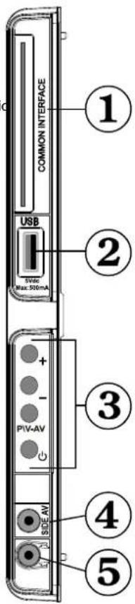 COMMON INTERFACE USB 5Vdc Max: 500mA + - P/V-AV - SIDE AV - 1 2 3 4 5