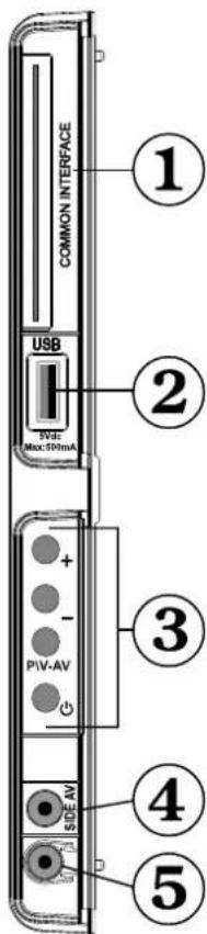 SCHAUB LORENZ 22LE-5100C - Ansicht der Anschlüsse – Anschlüsse an der Seite - 1