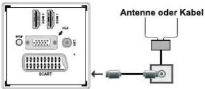 SCHAUB LORENZ 22LE-5010C - Antennenanschluss - 1