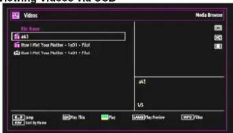 SCHAUB LORENZ 22LE-5010C - Media Playback Using Media Browser - 2