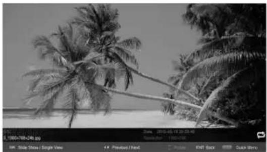Manta LED2601 - Photo - 1