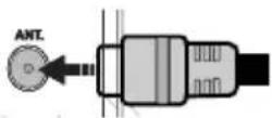 Ferguson V32125L - Anschluss der Antenne - 1