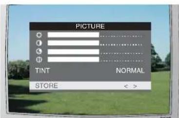 MATSUI 21T10(A) - Adjusting the picture - 5