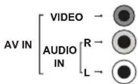 TCL 40S4800FS - ANTENNA IN socket (input) - 1