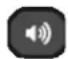 TCL Roku 40FS3800 - INSTANT REPLAY - 1