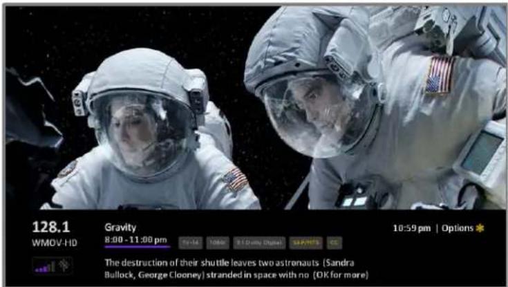 TCL Roku 40FS3800 - Viewing program information - 1