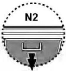 N2