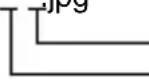 SANYO VPC-MZ3EX - Data file formats - 1