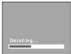 ROLLEI Prego da5 - Deleting Single Image in Playback - 1