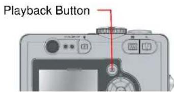ROLLEI Prego da5 - Display Image Properties - 1
