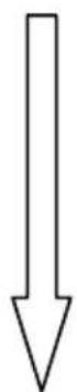 SILVERCREST DS-1020T - EV-correctie - 2