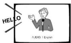 HELLO AUDIO. 1 English