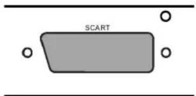 SCART