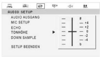 AUDIO SETUP AUDIO AUSGANG MIC SETUP ECHO TONHÖHE DOWN SAMPLE SETUP BEENDEN