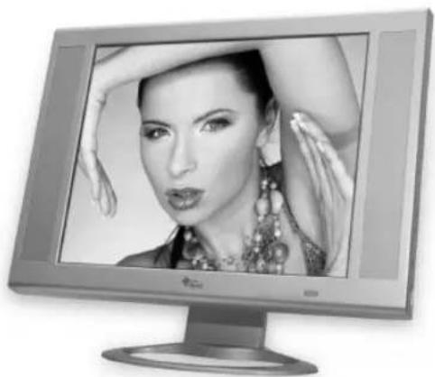 Manta MM443 - LCD Monitor 1703 with TV - 1