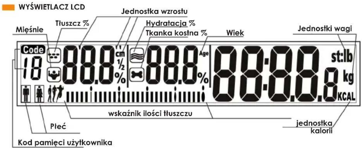 WYŚWIETLACZ LCD Mięśnie Tłuszcz % Jednostka wzrostu Hydratacja % Tkanka kostna % Wiek Jednostki wagi Code 18 88.8 cm 1/2 % 88.8 Age 88.8.8 st:lb kg KCAL wskaźnik ilości tłuszczu Płeć jednostka kalorii Kod pamięci użytkownika