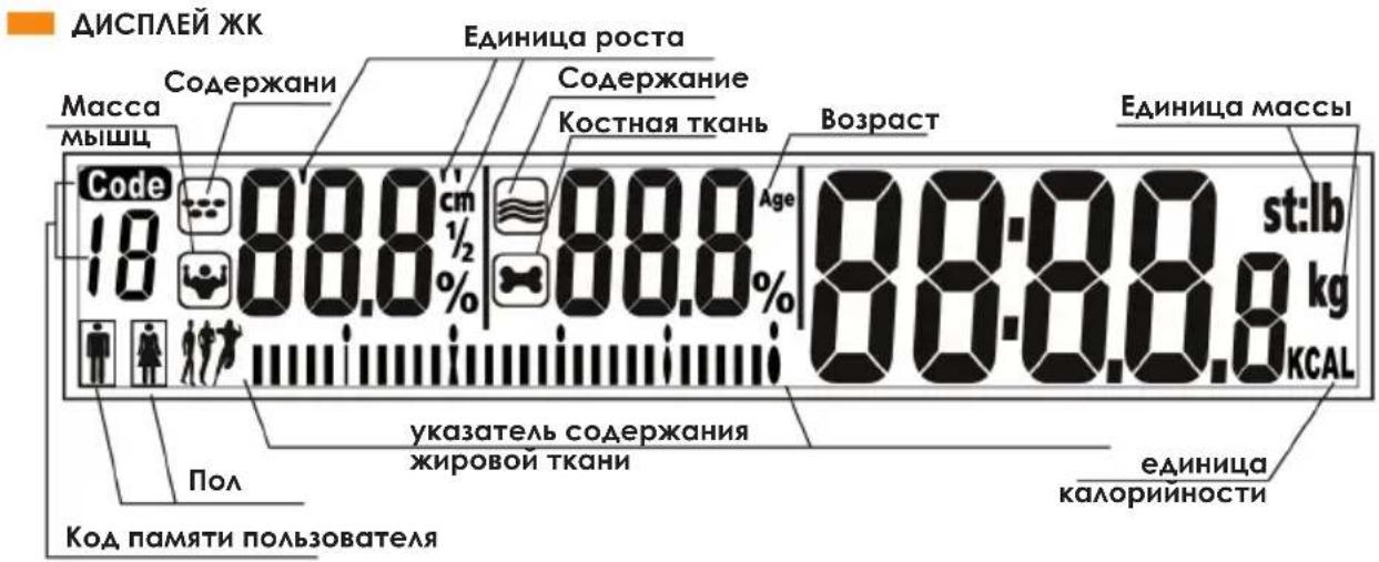 ДИСПЛЕЙ ЖК Масса мышц Содержани Единица роста Содержание Костная ткань Возраст Единица массы Code 10 88.8 cm 1/2 % 88.8 Age st:lb kg KCAL Пол указатель содержания жировой ткани единица калорийности Код памяти пользователя