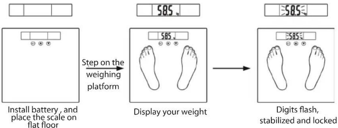 Eldom TWO300 - Optional Normal Weighing Mode (by passing parameter setting) - 1