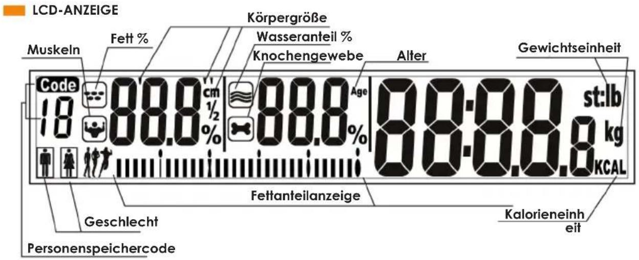 LCD-ANZEIGE Muskeln Fett % Körpergröße Wasseranteil % Knochengewebe Alter Gewichtseinheit Code 10 88.8 cm ½ 88.8 Age st:lb kg KCAL Fettanteilanzeige Geschlecht Kalorieneinh eit Personenspeichercode