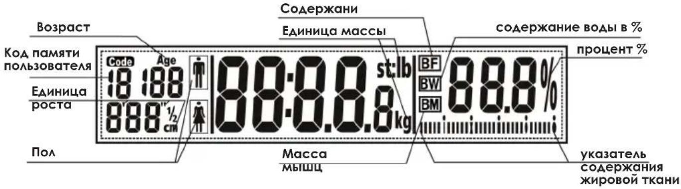 Возраст Код памяти пользователя Единица роста Пол Code Age 18:188 888" 1/2 cm Содержани Единица массы 88.0.0.0.0 kg BF BW BM 88.8% подаржание воды в % процент % Масса мышц указатель содержания жировой ткани