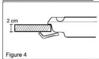 2 cm Figure 4