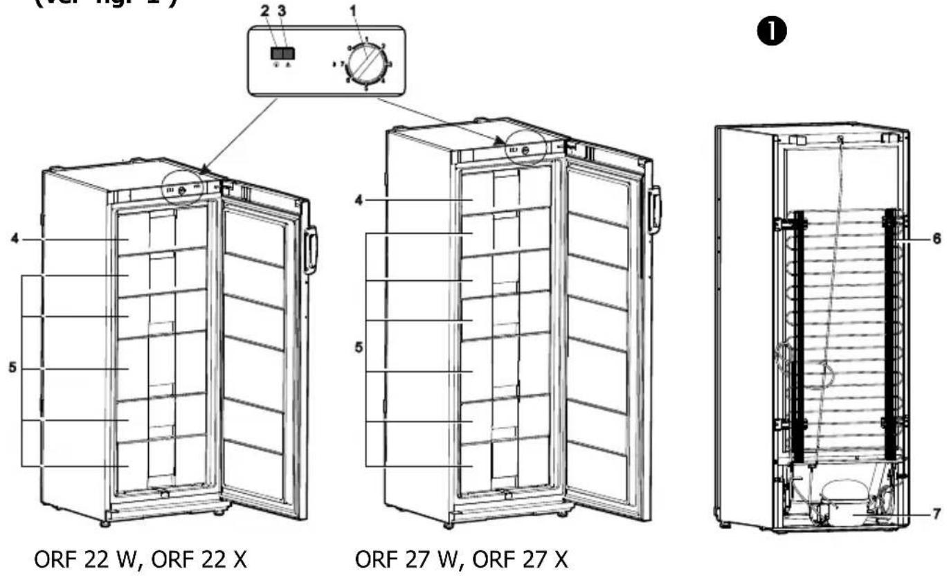 (ORF 22 W, ORF 22 X) ORF 22 W, ORF 22 X ORF 27 W, ORF 27 X