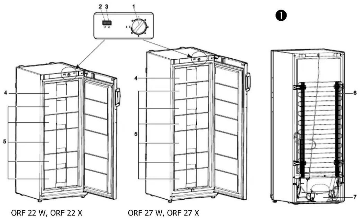 ORF 22 W, ORF 22 X ORF 27 W, ORF 27 X