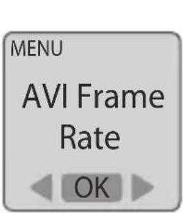 Brinno BBC100 - AVI Playback Frame Rate - 1