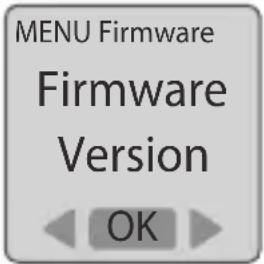 Brinno BBC100 - Firmware Version - 2