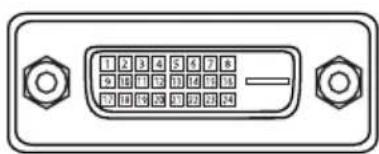 EIKI LC-WUL100A - DIGITAL DVI-D (DVI 24 PIN) - 1