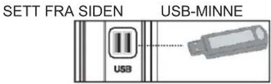SETT FRA SIDEN USB-MINNE USB