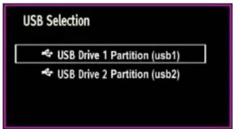 USB Selection USB Drive 1 Partition (usb1) USB Drive 2 Partition (usb2)