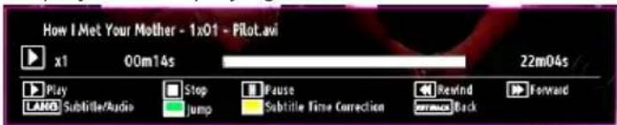 How I Met Your Mother - 1x01 - Pilot.avi x1 00m14s 22m04s Play Stop Pause Refind Forward LAM Subtitle/Audio Jump Subtitle Time Correction Back