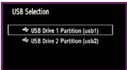 USB Selection USB Drive 1 Partition (usb1) USB Drive 2 Partition (usb2)